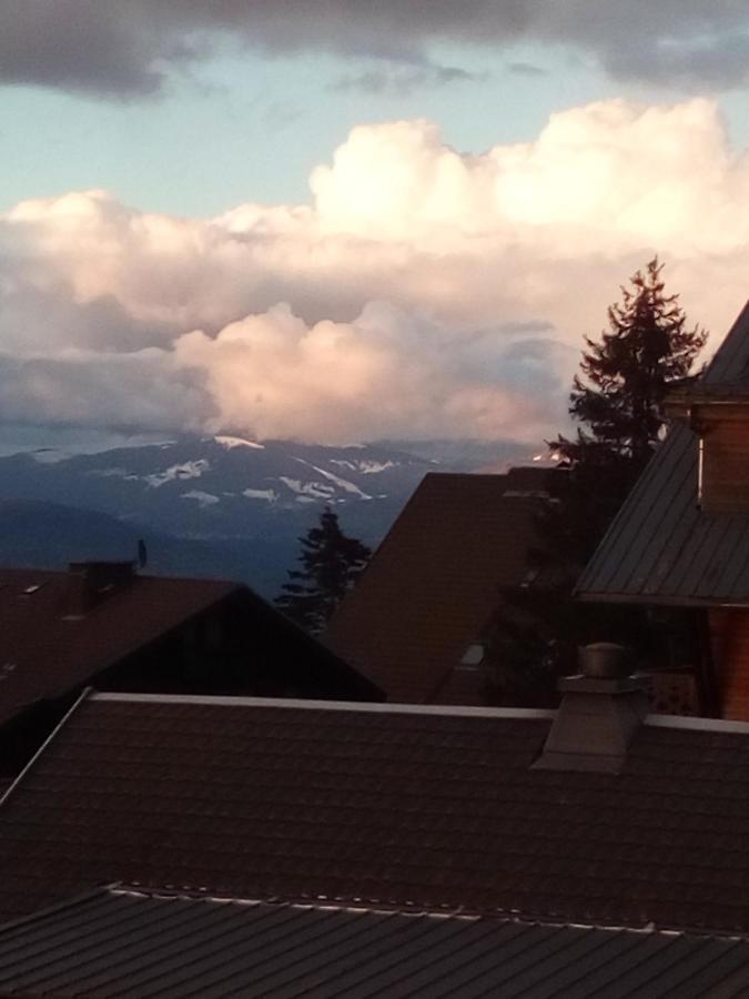 Superbe Appartement T2 3 Etoiles 40M2 Pied Des Pistes Vue Sur Le Lac Thollon-les-Memises Esterno foto