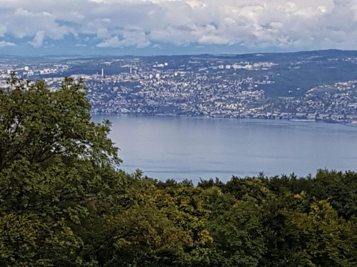 Superbe Appartement T2 3 Etoiles 40M2 Pied Des Pistes Vue Sur Le Lac Thollon-les-Memises Esterno foto